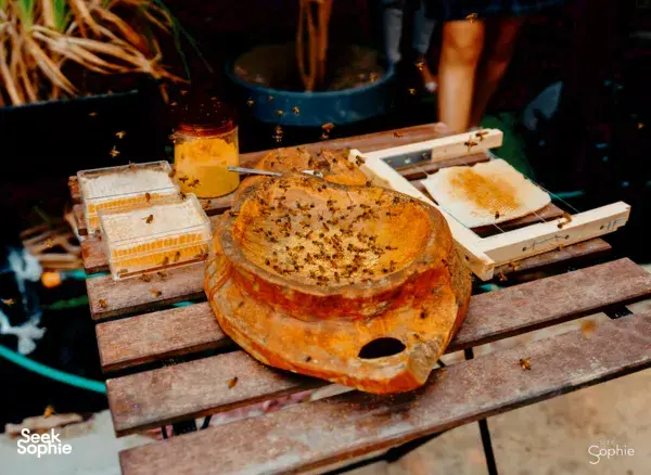 Honeycomb slices and jars arranged on a wooden table in a Singapore kitchen for crafting honey ice cream—workshops in Singapore