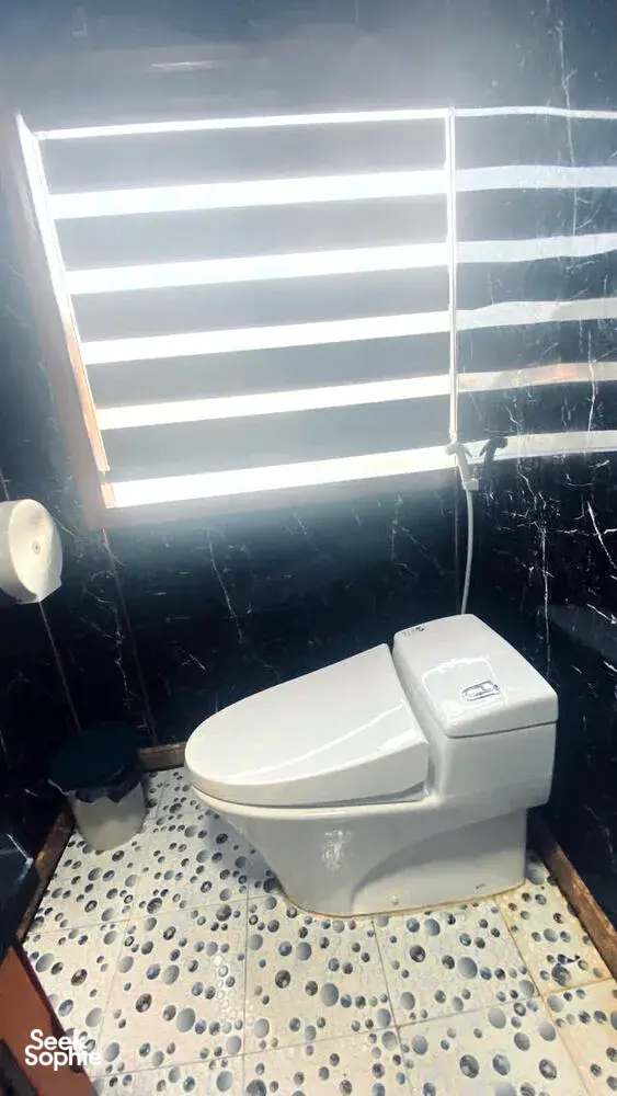 Seek Sophie option picture