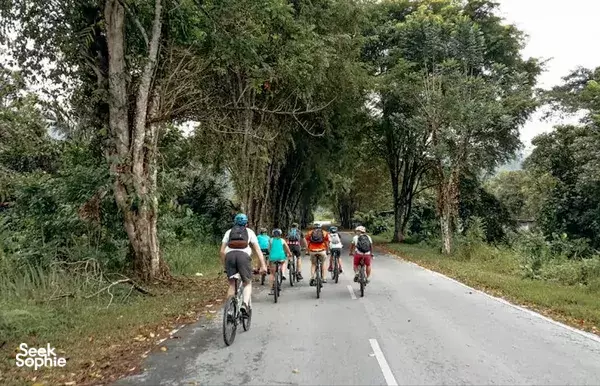 Petualangan Bersepeda Hutan, Tambang Emas & Orangutan