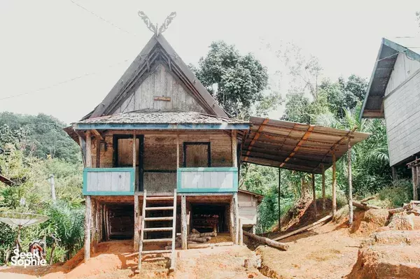 Wooden stilt longhouse in a Dayak village, with an open raised veranda and ladder, surrounded by rainforest greenery