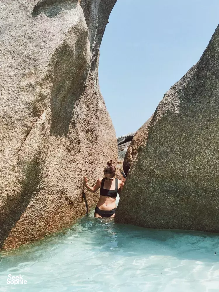 Seek Sophie option picture