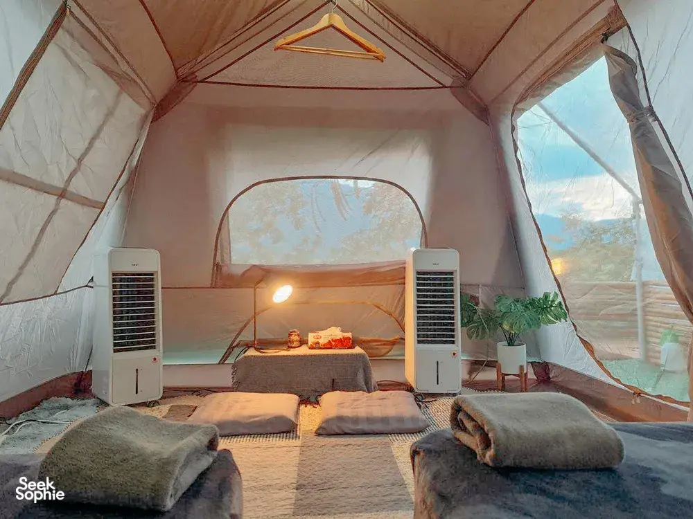 Seek Sophie option picture