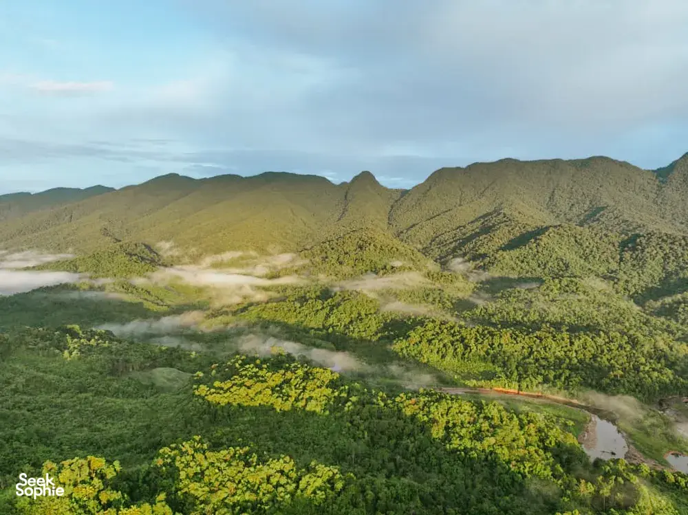 Seek Sophie option picture