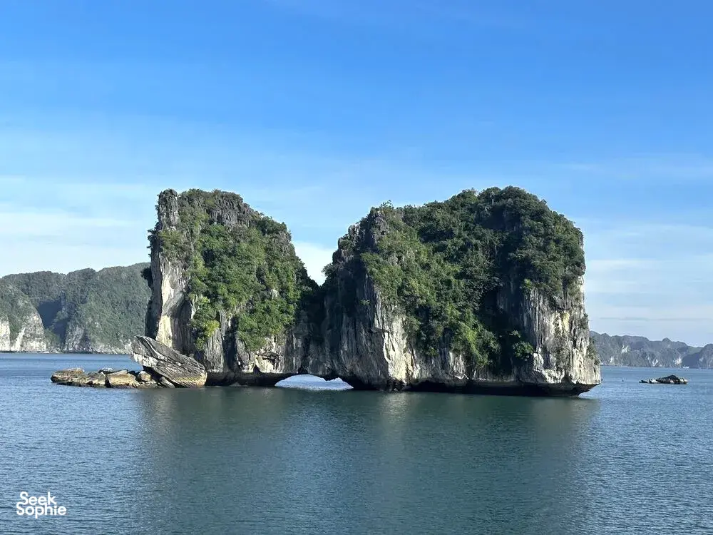 Seek Sophie option picture