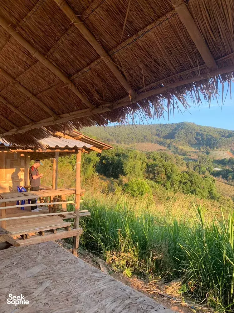 Seek Sophie option picture