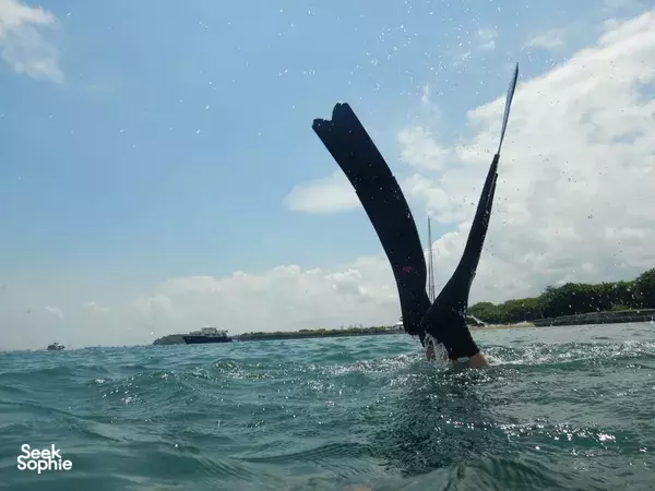 Discover Freediving @ The Southern Islands