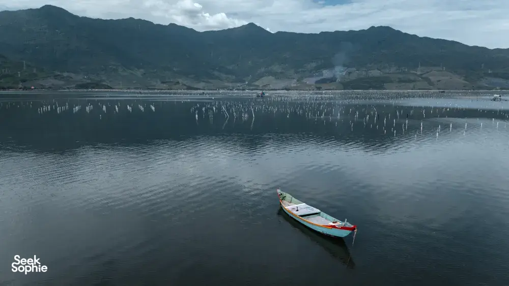 Seek Sophie option picture