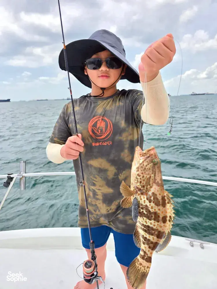 Seek Sophie option picture