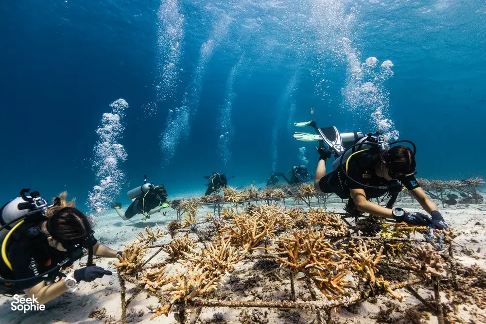Scuba divers kneel on a sandy reef while learning open-water skills in Bali during a 3-day certification with Sanctum Dive Indonesia