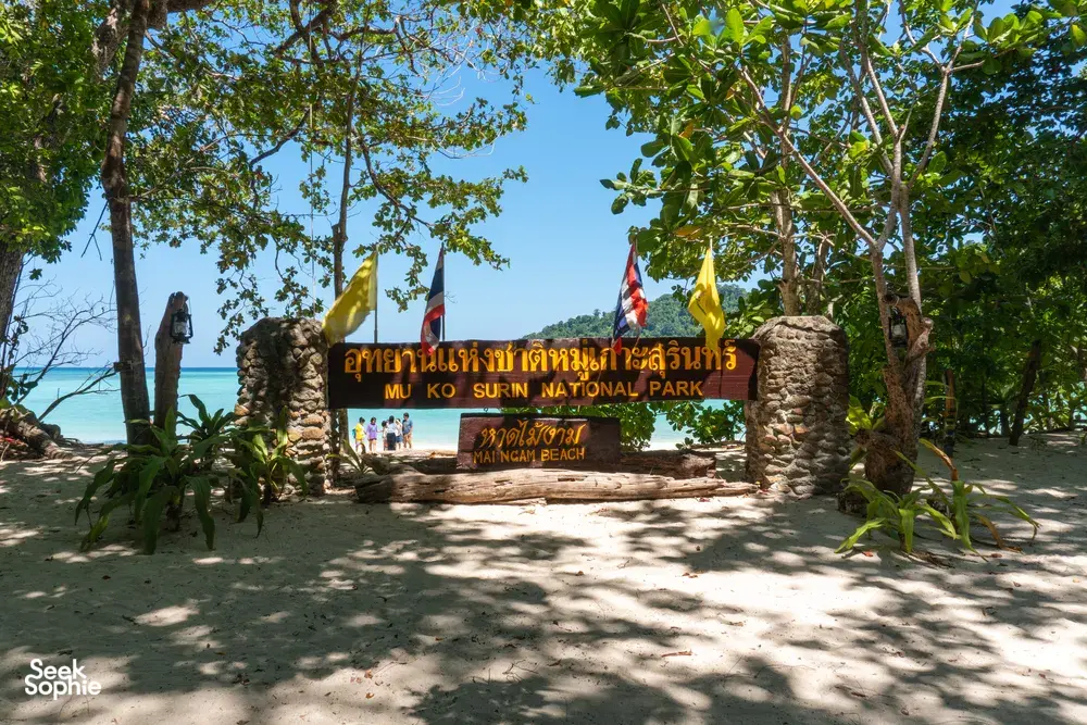 Seek Sophie option picture