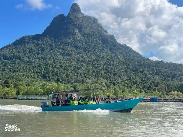 Mangrove Wildlife Cruise: Spot Dolphins & Proboscis Monkeys