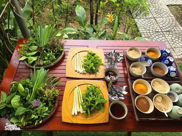 Discover the Healing Magic of Plants with Seasoned Herbalist