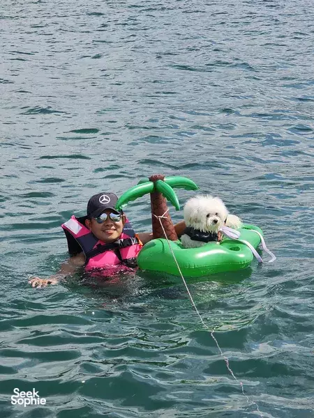 4 Hour Yacht to Lazarus | Complimentary Decor for Special Occasions!