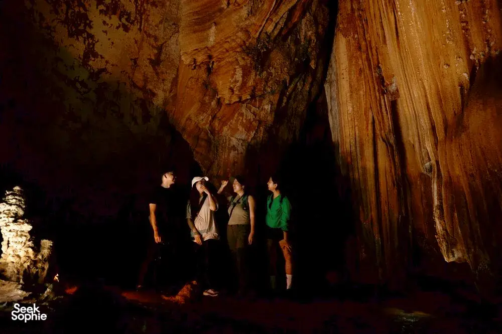 Seek Sophie option picture