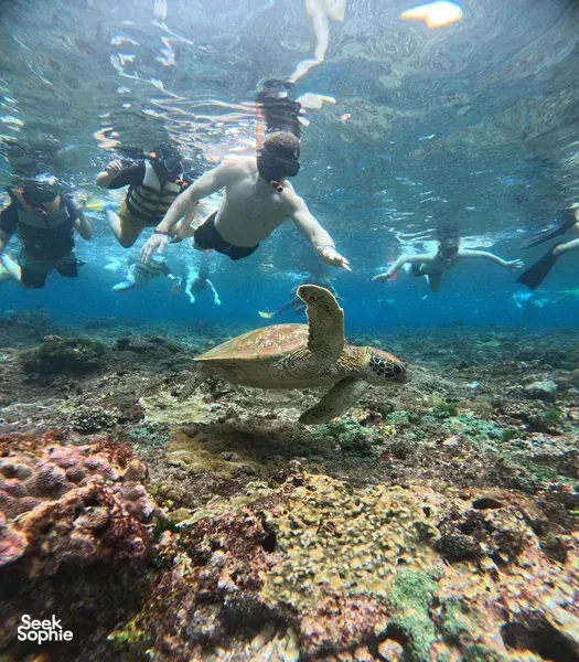 Nusa Lembongan Day Trip with Snorkeling & Underwater Photos