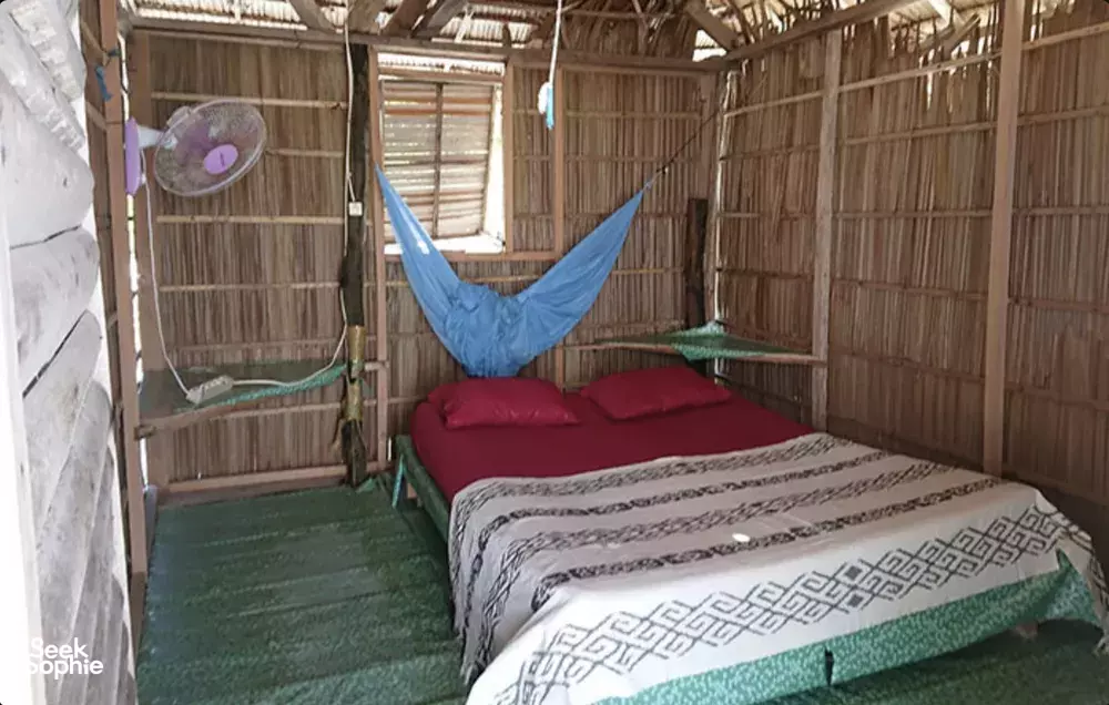 Seek Sophie option picture