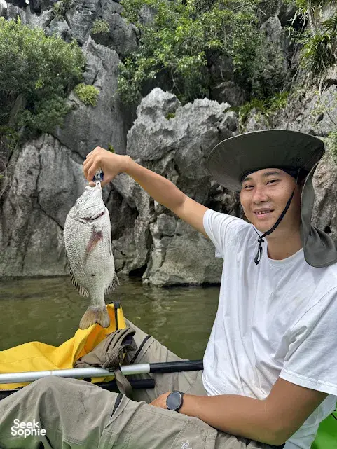 Seek Sophie option picture