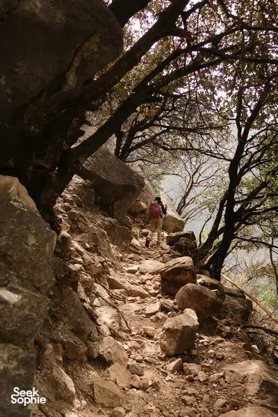 A hiker pauses on a tree-lined, stone trail on the Tiger Leaping Gorge high trail in Lijiang, framed by rocky cliffs
