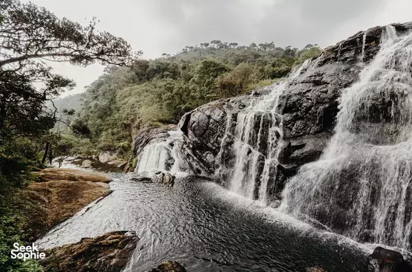 Sunrise Hike at Horton Plains