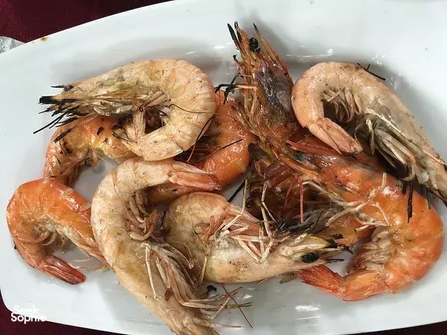 Seek Sophie option picture