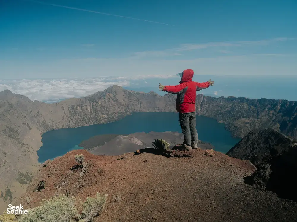 Seek Sophie option picture