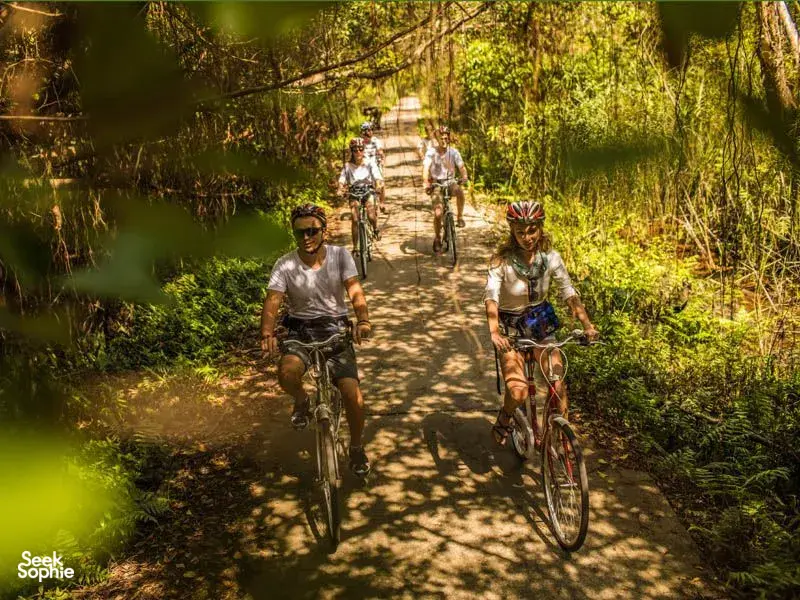 Seek Sophie option picture