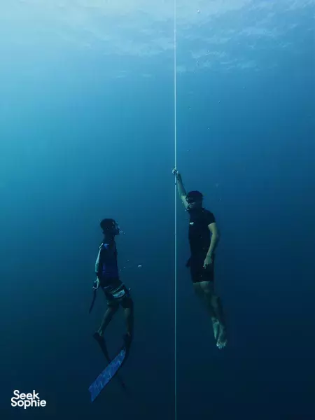 2日自由潜水课程|适合新手的顶级教练带你入门