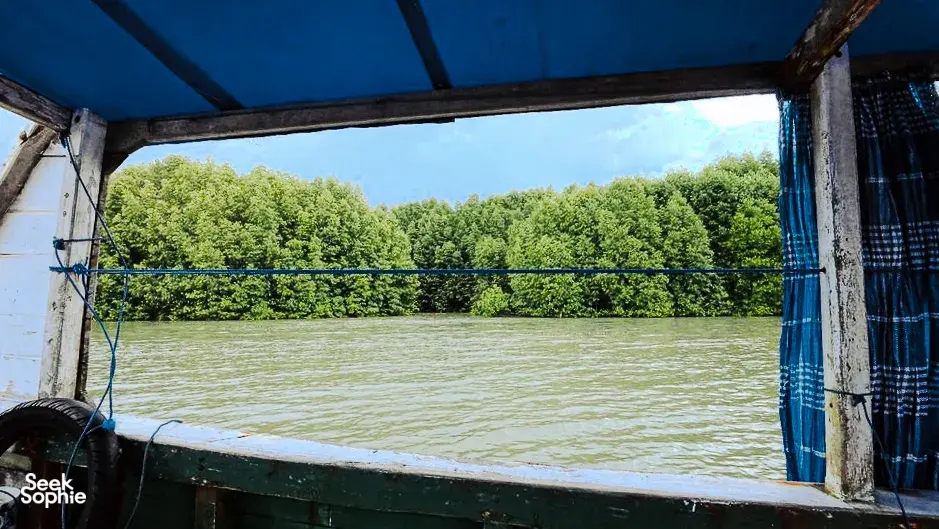 Looking out from beneath a blue canopy on a boat toward a green mangrove shoreline during a Labuan Bajo