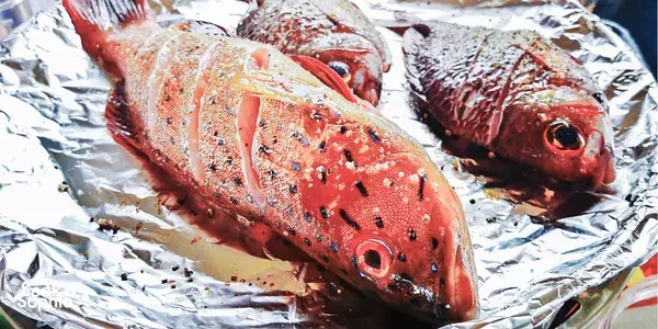 Join in Catch & Cook Yacht Fishing Trip 