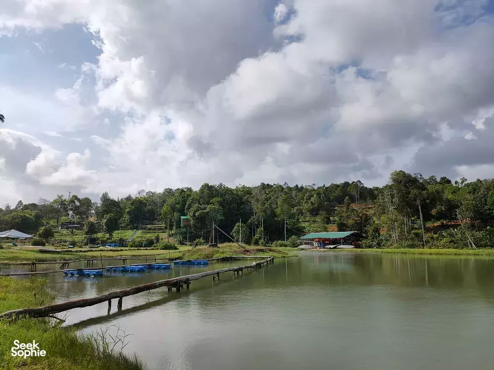 Seek Sophie option picture