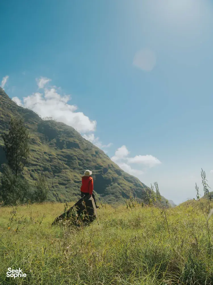 Seek Sophie option picture