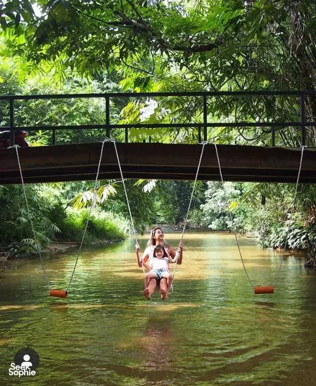 Seek Sophie option picture