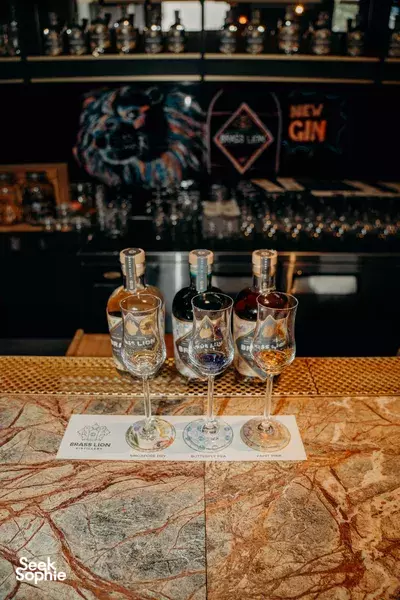 Taste Gins at Award Winning Distillery
