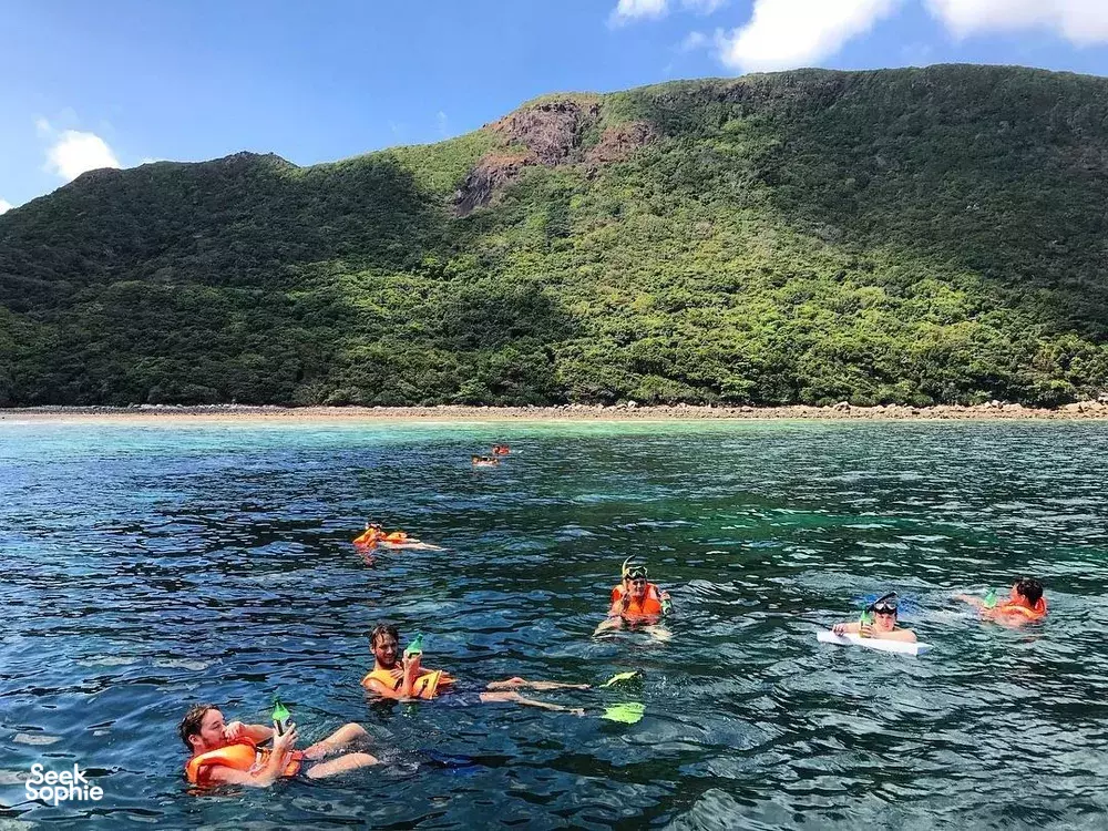 Seek Sophie option picture