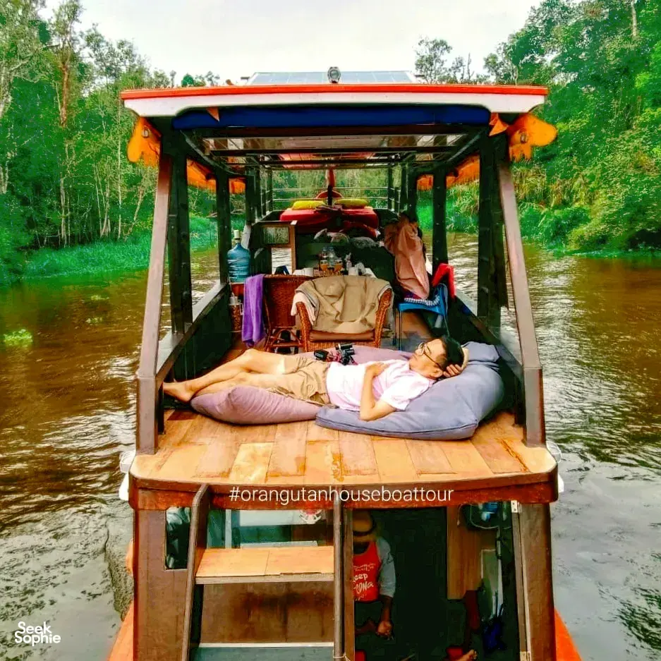 Seek Sophie option picture