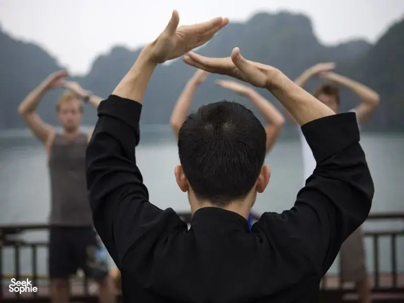 Seek Sophie option picture