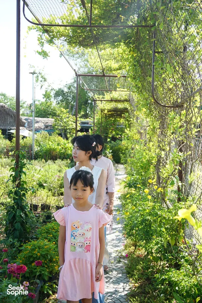 Seek Sophie option picture