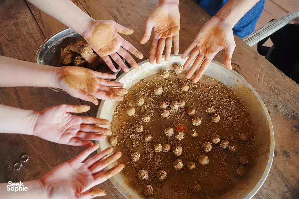 Seek Sophie option picture