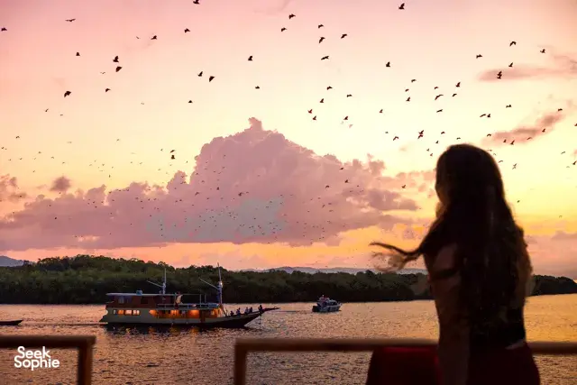 Fruit bats in flight over calm water at sunset with a tour boat in view near Rinca, Labuan Bajo