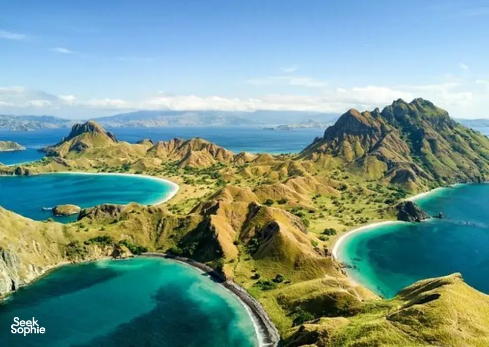 Seek Sophie option picture