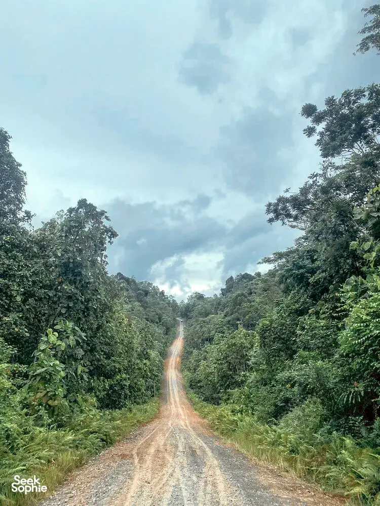 Seek Sophie option picture