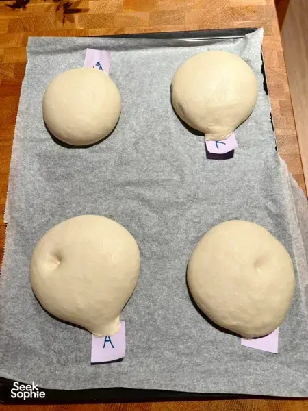 Four pale shio pan dough balls on a grey baking sheet with purple labels, proofing on a wooden worktop in Singapore