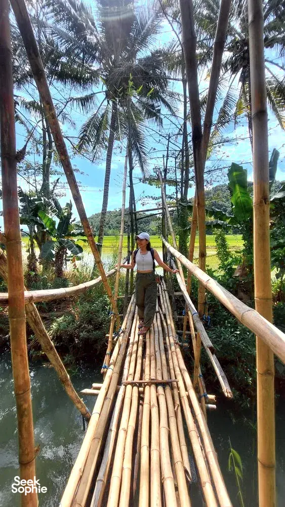 Laluan buluh di atas aliran paya bakau di Labuan Bajo, dengan seorang pengembara meneroka dari dek, dikelilingi pokok palma yang tinggi
