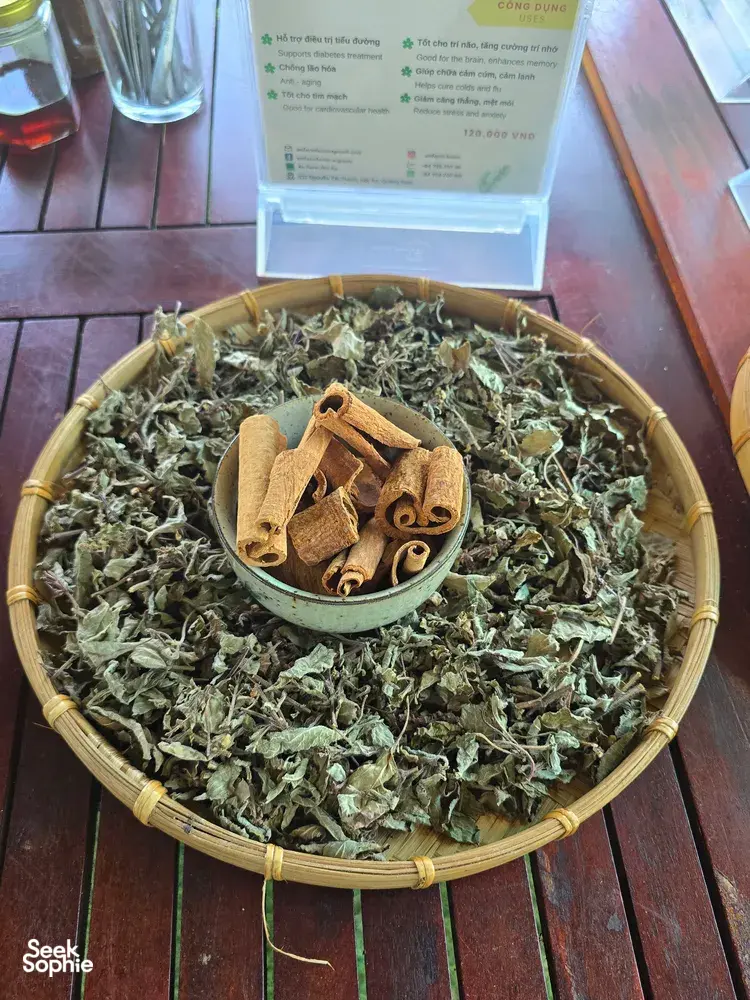 Seek Sophie option picture