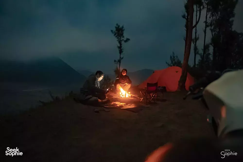 Seek Sophie option picture