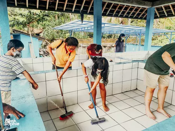 Saving Bali's Sea Turtles: Join the Conservation Effort (May-October)