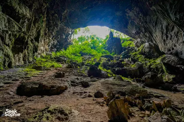 Phong Nha Day Trek with Cliff Jumping & BBQ | Dong Hoi Free Pick Up 