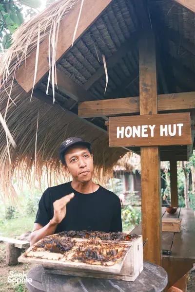 The Secret Life of Bees | Meet Unique Stingless Bee on Lombok Farm