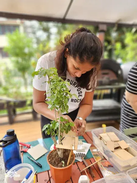 Woman assembling a mini treehouse on a potted sapling at a secret farm workshop in Singapore, surrounded by craft tools on the table