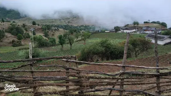丽江出发的一日隐秘村落和文海湿地徒步旅行